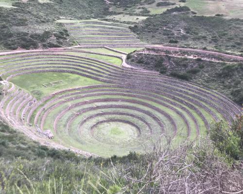 Moray