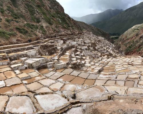 Maras