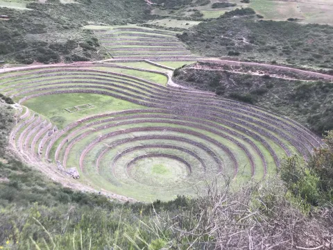 Moray