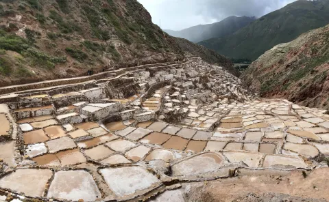 Maras